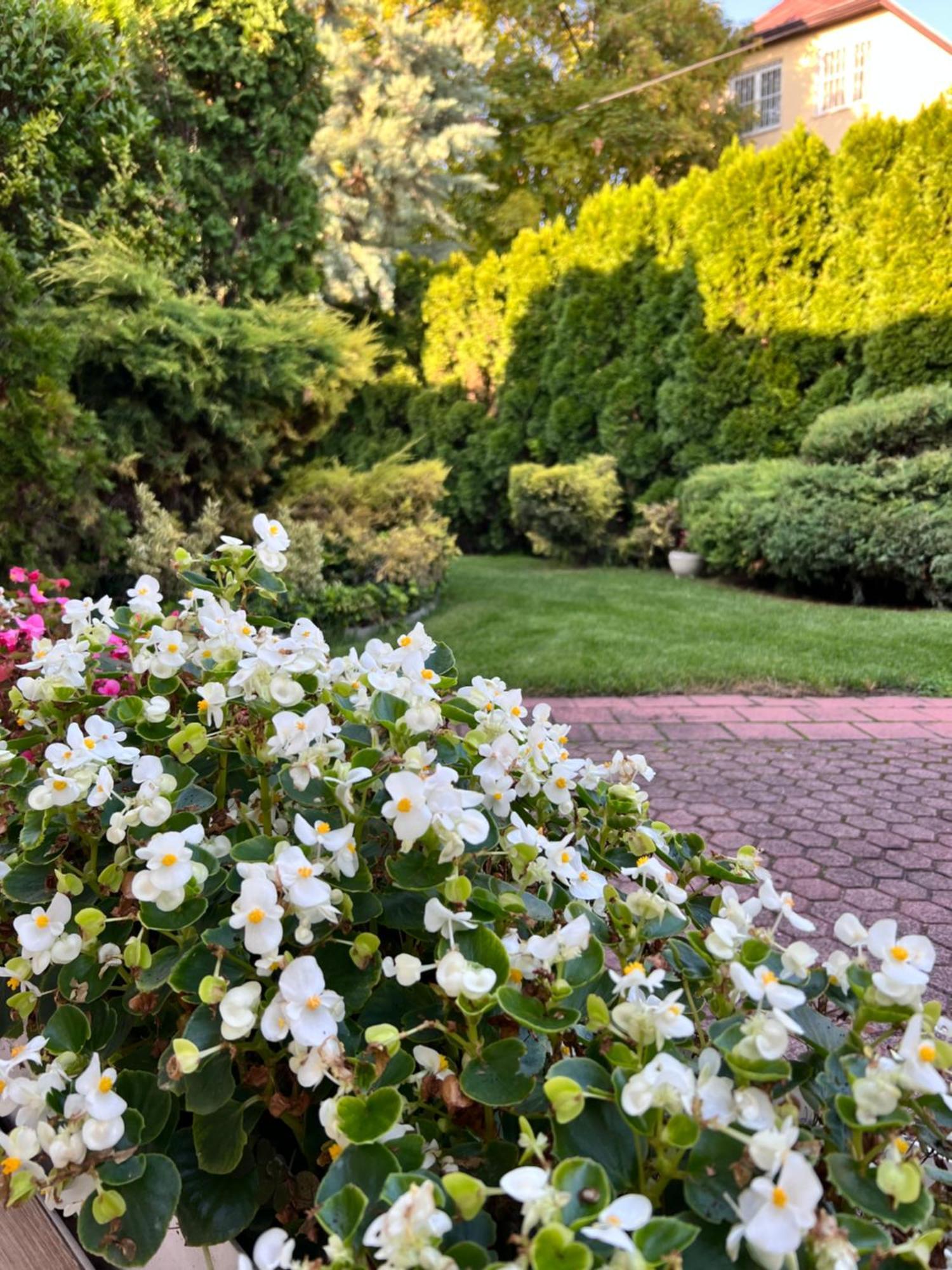 Villa Relax Apartman Gárdony Dış mekan fotoğraf